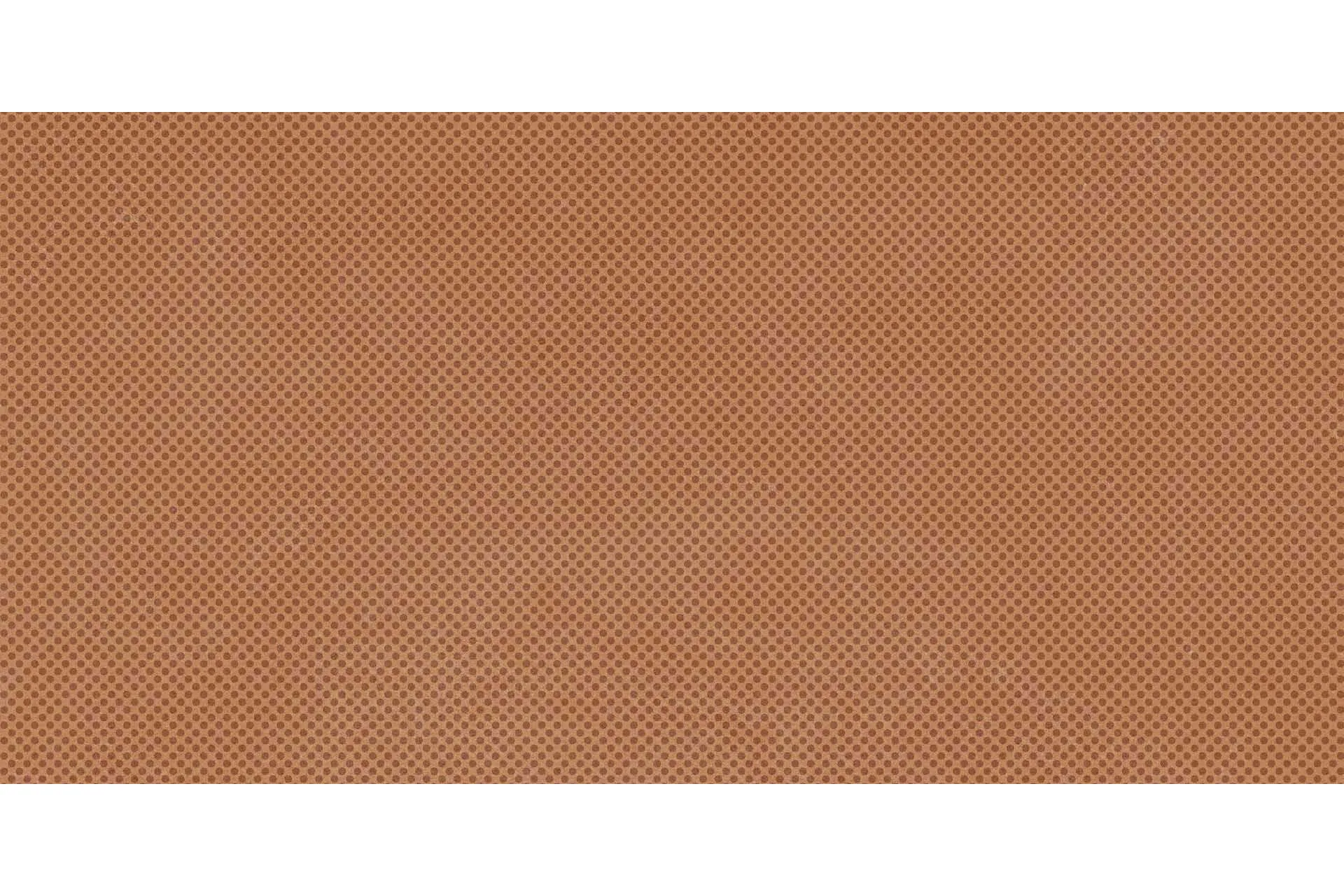 Керамогранит Imola Ceramica Retina Arancio Pat