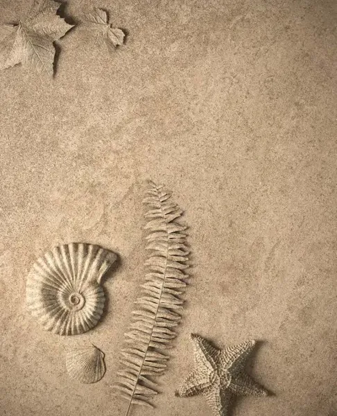 Интерьер 3133265