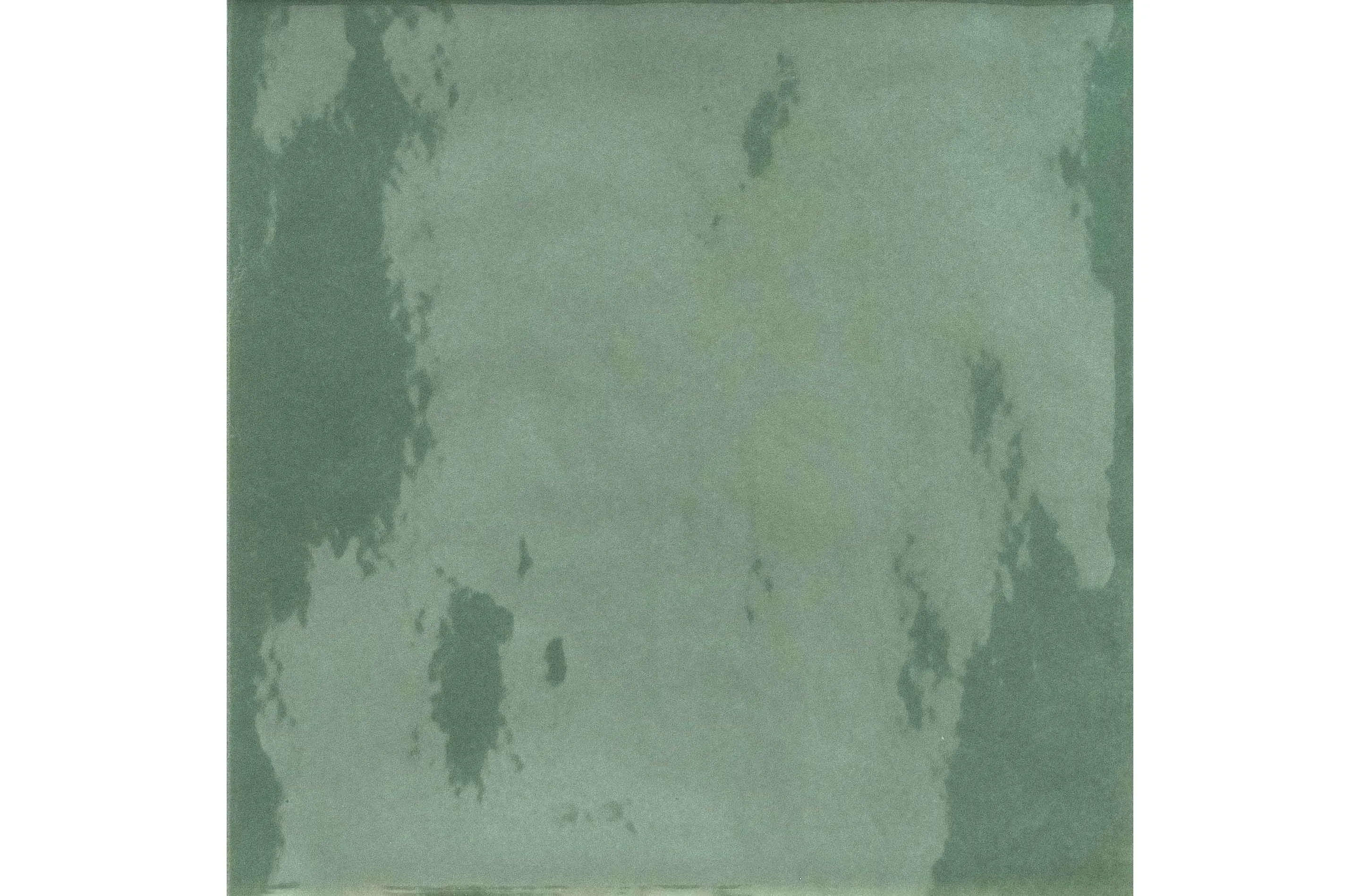 Керамогранит Iris Ceramica Bottega d'arte Muschio