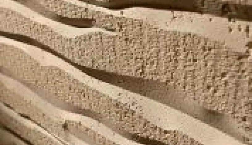 Hedonism 2 - Petra Antiqua