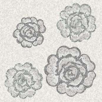 Rose di paestum c