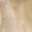 Hoily Beige