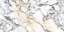 Calacatta Paonazzo Bookmatch A