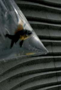 Интерьер 48883