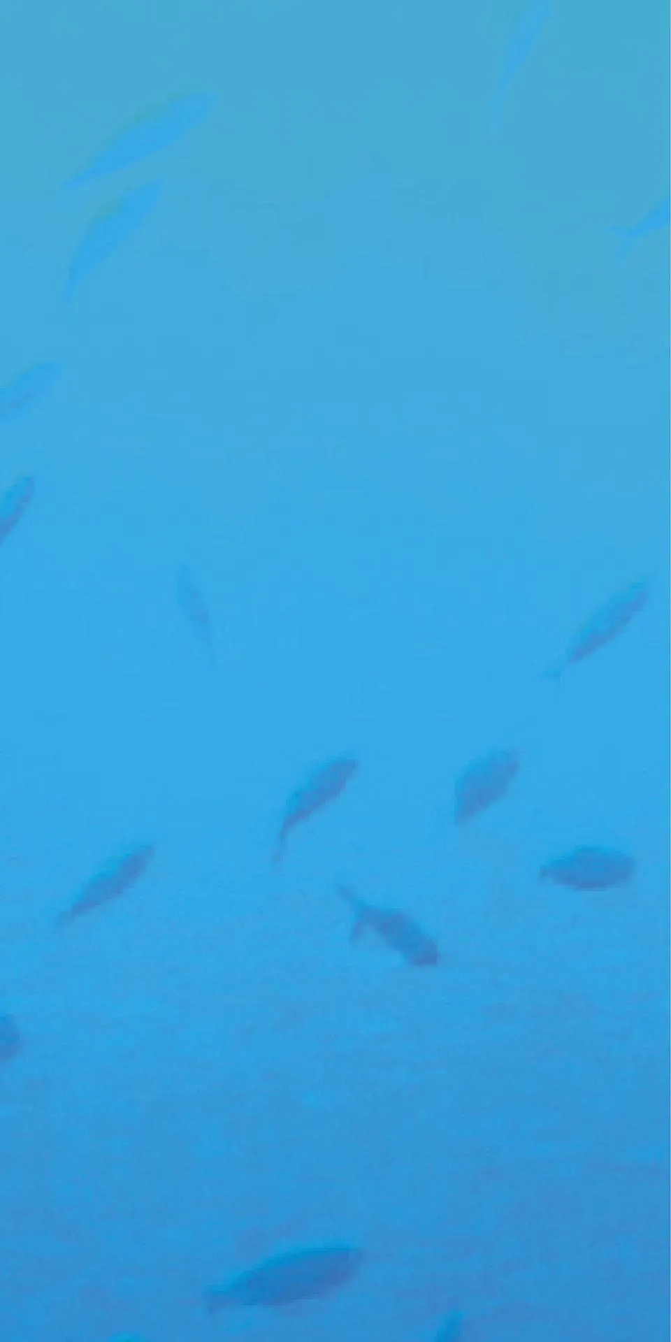 Керамогранит MaxFine by Iris FMG Design Your Slabs Coral Reef Fish