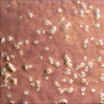 Керамогранит Pecchioli Firenze (Пеккиоли Фирензе) Lava Dell’Etna Etna Fondi Tinta Unita H 56