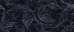 Acanto Calacatta Black