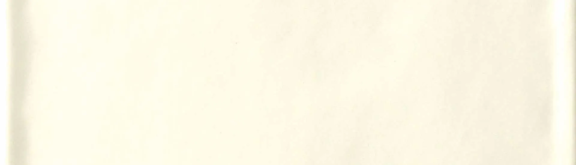 Керамогранит Tonalite Satin Seta