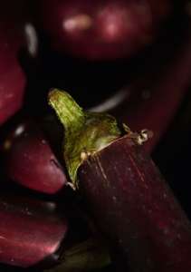 Интерьер 50077