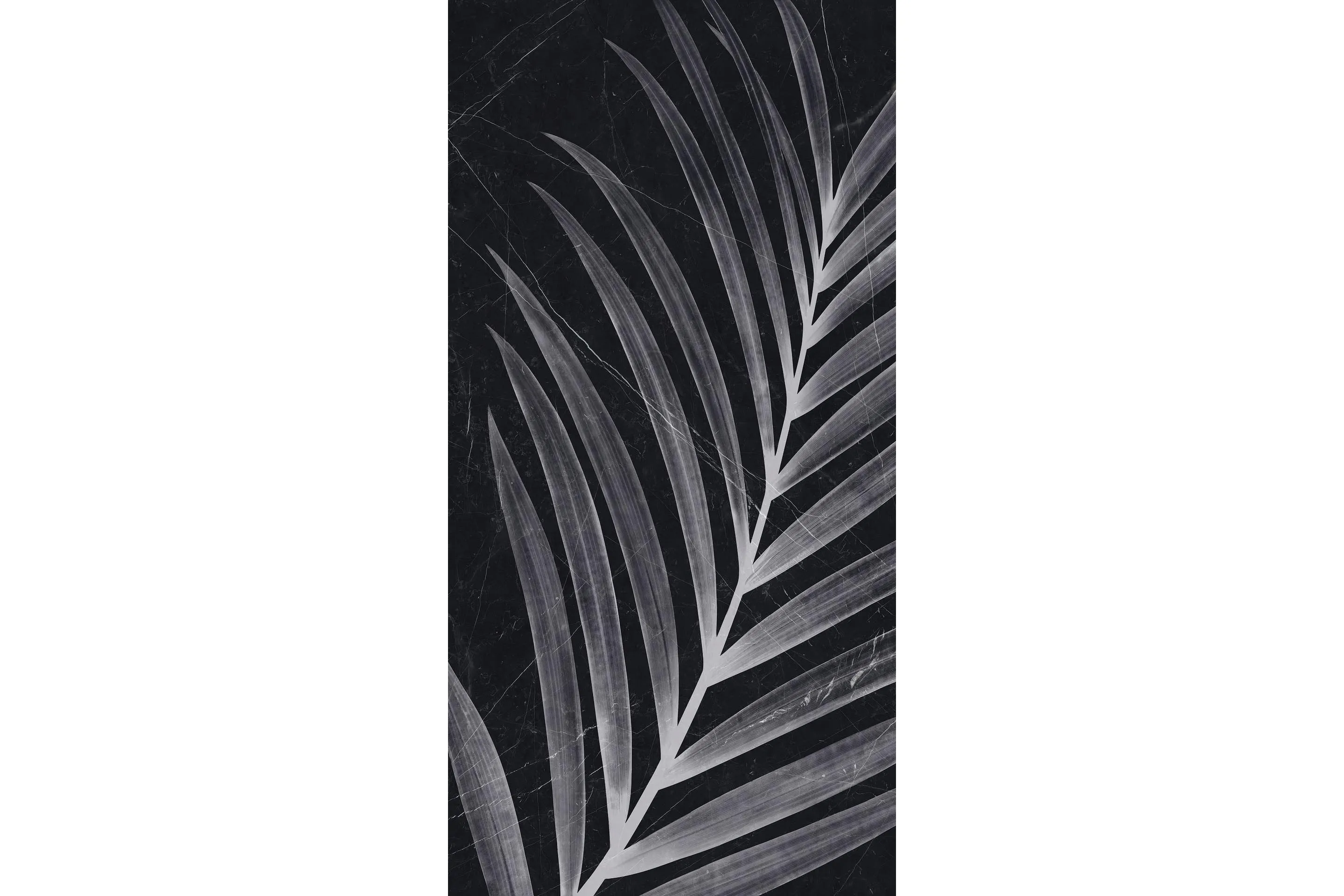 Керамогранит MaxFine by Iris FMG Design Your Slabs Palm White