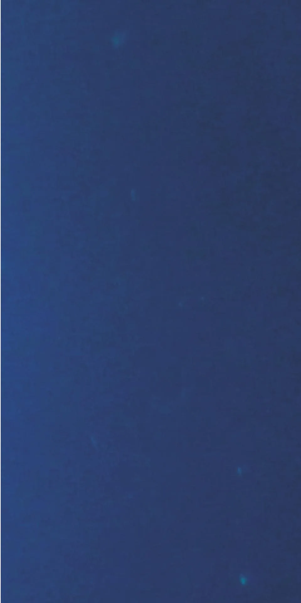 Керамогранит MaxFine by Iris FMG Design Your Slabs Coral Reef Fish