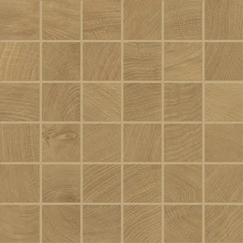 Керамогранит Provenza by Emil Group W-Circles Mosaico 5x5 Walnut