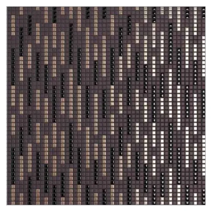 Мозаика Ceramica Appiani  Allure GING002