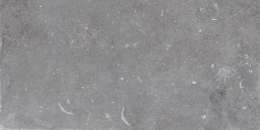 Noble Gris