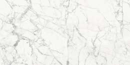 Origines Blanc