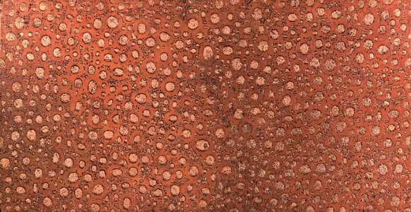 Интерьер 50211