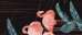 Flamingo B