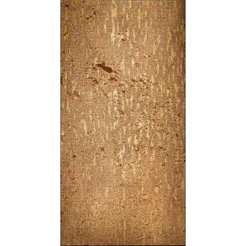 Мрамор Petra Antiqua Lacche 2 DROP Fondo Travertino - Decoro Oro 30,5 x 60