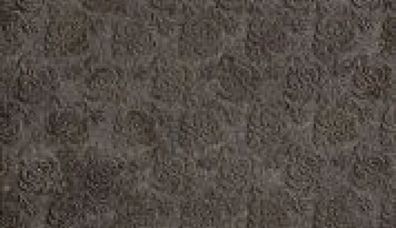 Evolution 2 - Petra Antiqua