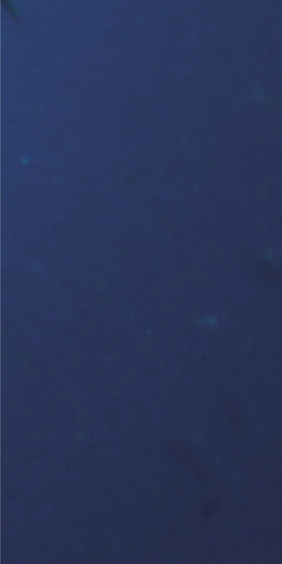 Керамогранит MaxFine by Iris FMG Design Your Slabs Coral Reef Fish