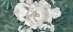 Peonia A