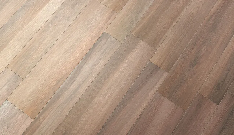 Acanto - Cir Serenissima