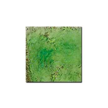 Керамогранит Pecchioli Firenze (Пеккиоли Фирензе) Cotto Del Mugello Verde Mela