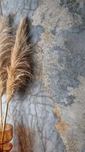 Интерьер 3266818