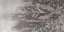 Botanical Grey A