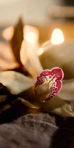 Интерьер 50324