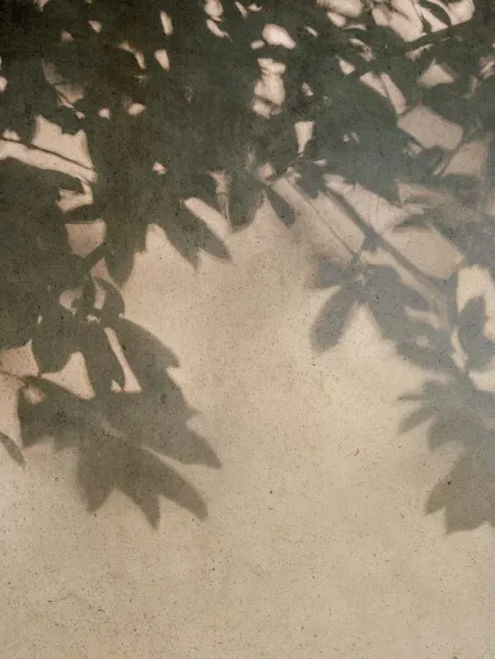 Интерьер 3133041