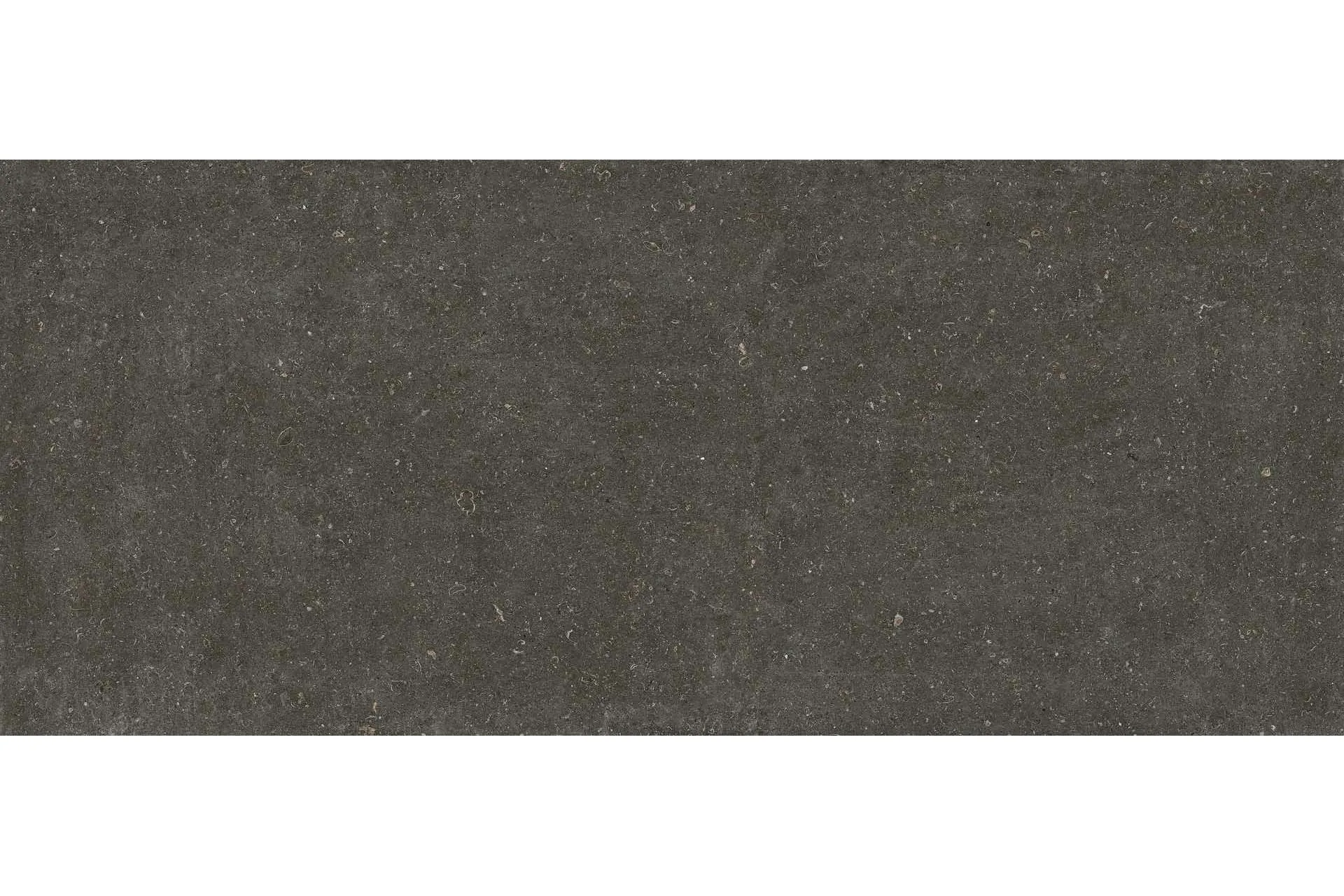 Керамогранит Florim Design Rinascenza Arena Platino