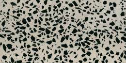 Black Sesame