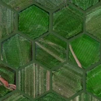 Мозаика Trend Hexagonal (Хексагональ) Hex 236
