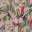 Jungle Pink