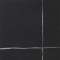 Teorema black