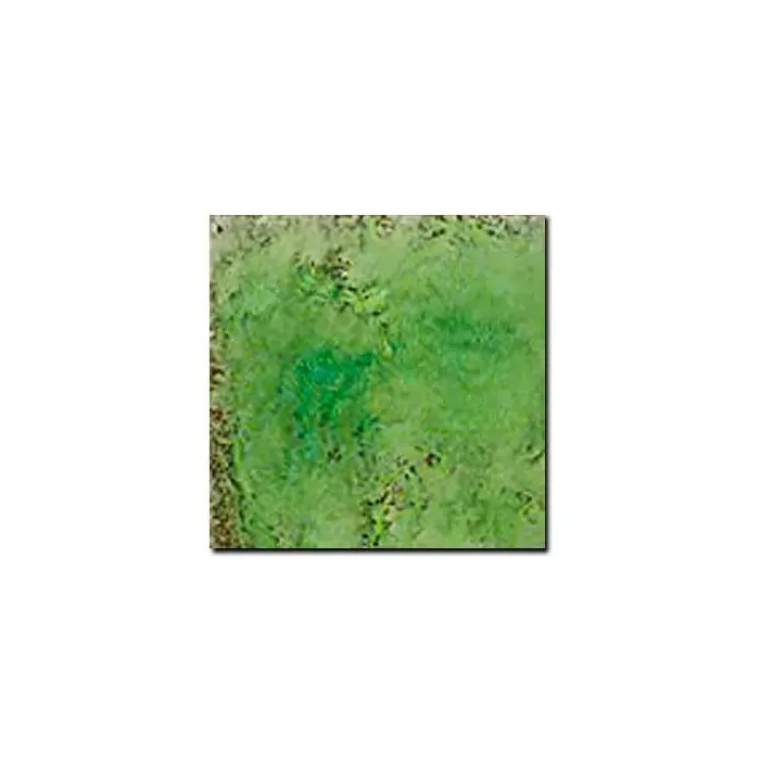Керамогранит Pecchioli Firenze (Пеккиоли Фирензе) Cotto Del Mugello Verde Mela