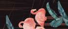 Flamingo B (Фламинго B)