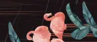 Flamingo B (Фламинго B)