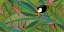 Toucans Forest Green