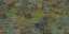 Forest A