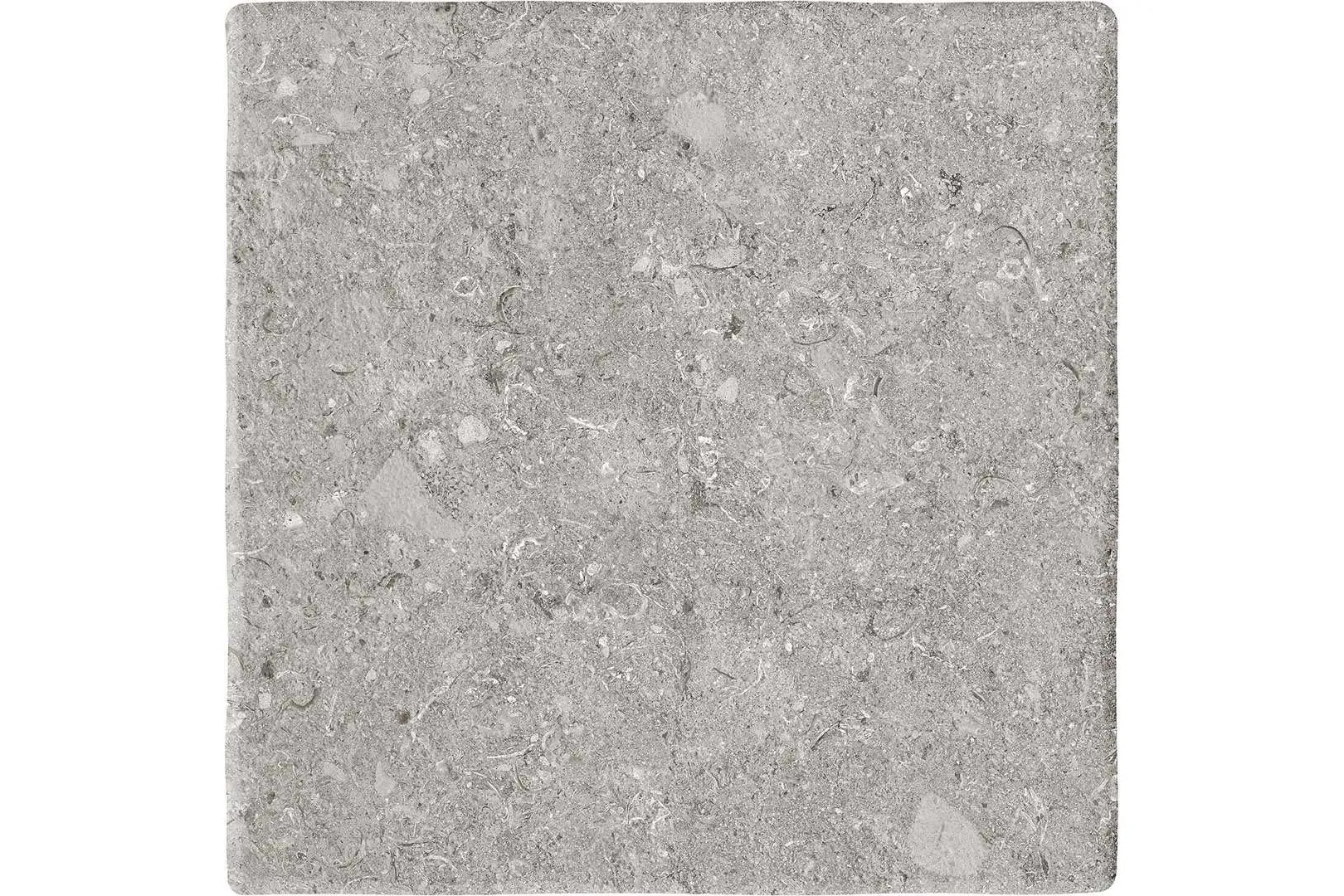 Керамогранит Terratinta Ceramiche Vicentina XXS Tortora