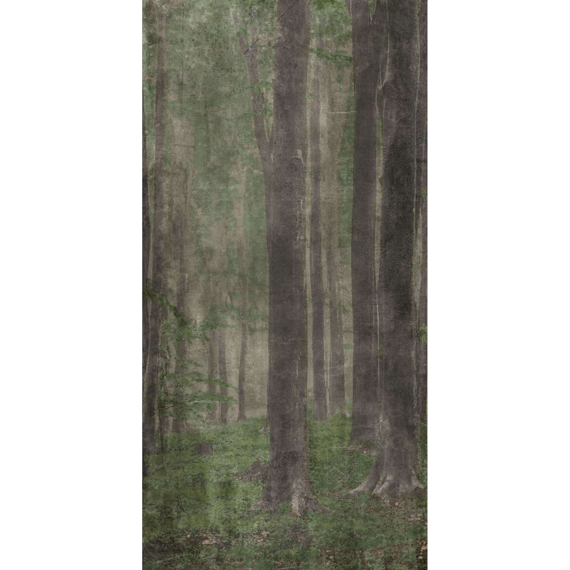 ABK - Wide & Style - <b>Woods A</b> (АВК - Уайд Энд Стайл - Вудс A)