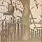 aspen patch 2
