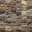 Jurassic Mosaic