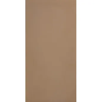 Керамогранит Casalgrande Padana R-Evolution Terra