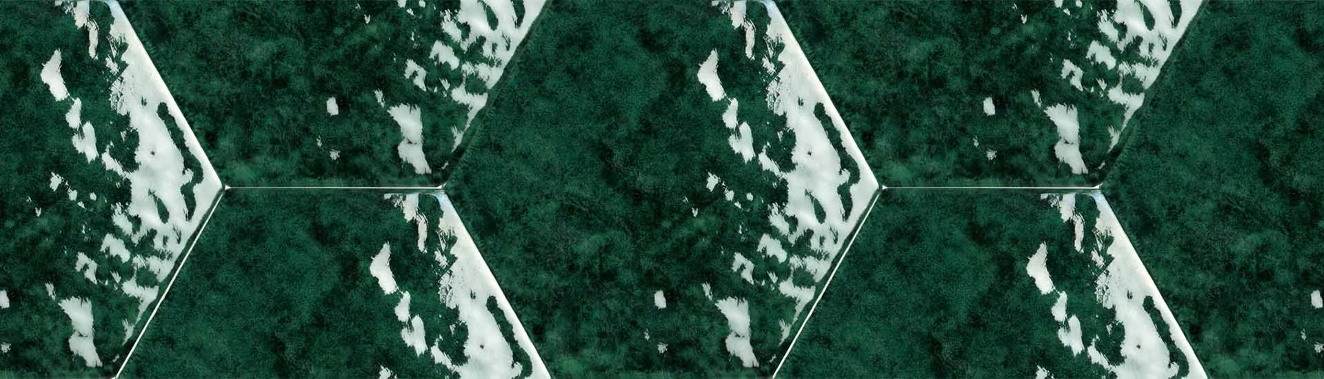 Керамогранит Tonalite Esamarine Verde