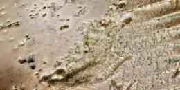 MADREPERLA 10x30/10x60 cm