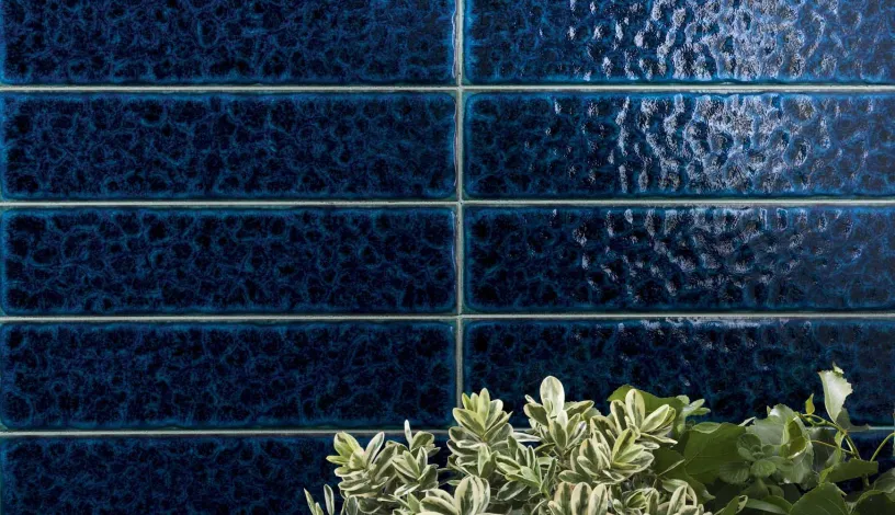 Micronesia - Tonalite