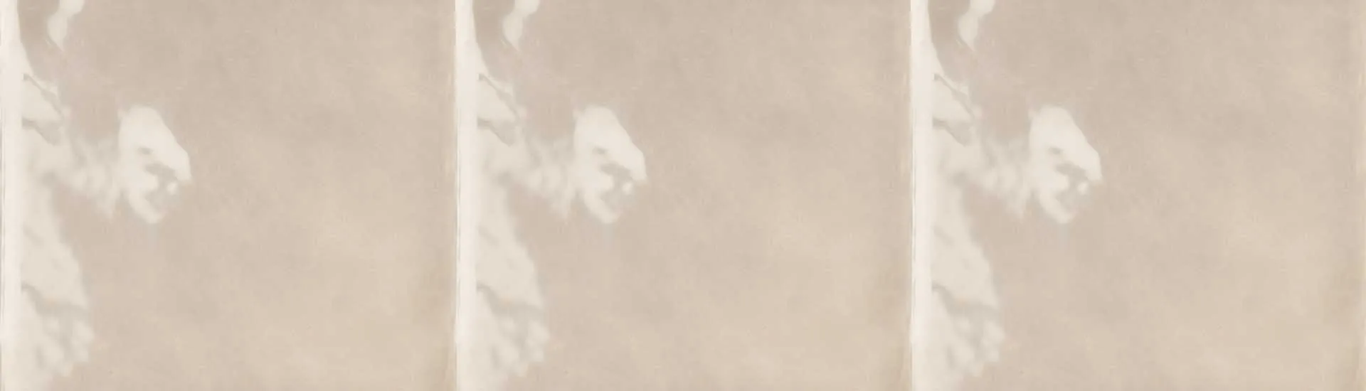 Керамогранит Tonalite Fluid Nocciola